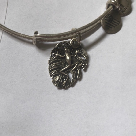 3 Alex and Ani - Picture 4 of 7